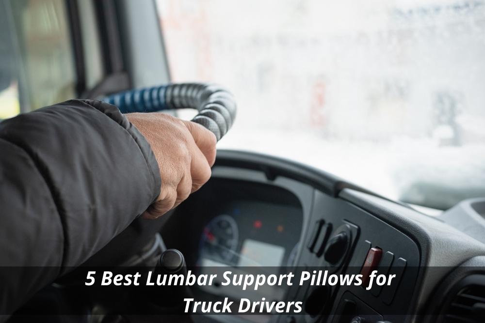 Truck Drivers: 5 Best Lumbar Support Pillows - sege Seats