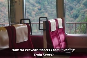 Image presents How Do Prevent Insects From Invading Train Seats